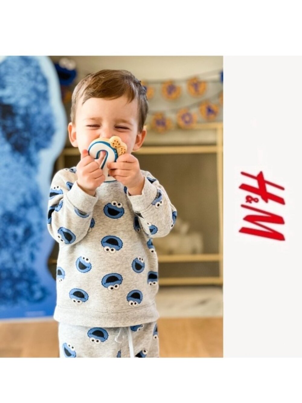 H&M X Sesame Street | Gray Cookie Monster Sweater | Size 4-6 Months